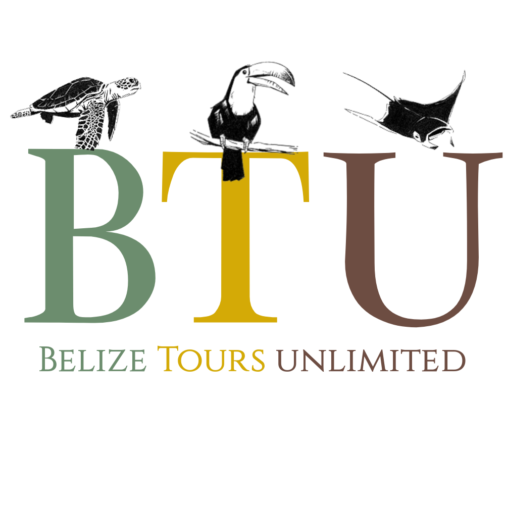 Belize Tours Unlimited